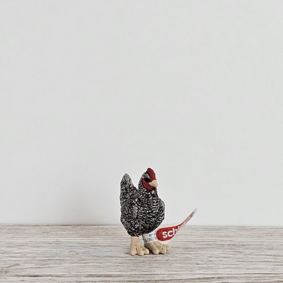 Schleich Figur namens Plymouth Rock Huhn der Produktwelt Farm World. Die Figur hat die offizielle Schleichnummer 13997. Die Figur trägt das Copyrightjahr 2024 und wurde dann von Schleich offiziell lizenziert. Die Schleichfigur wird eingestuft als Regulär.