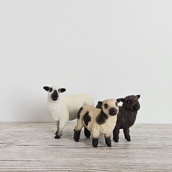 Schleich Figur namens Schaffreunde der Produktwelt Farm World. Die Figur hat die offizielle Schleichnummer 42660. Die Figur trägt das Copyrightjahr 2023 und wurde dann von Schleich offiziell lizenziert. Die Schleichfigur wird eingestuft als Regulär.