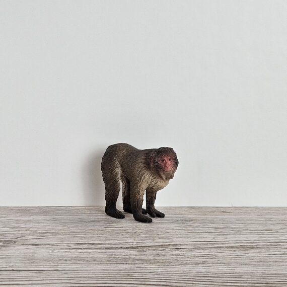Schleich Figur namens Japan Makak der Produktwelt Wild Life. Die Figur hat die offizielle Schleichnummer 14871. Es gehört zur Themenwelt Dschungel. Die Figur trägt das Copyrightjahr 2023 und wurde dann von Schleich offiziell lizenziert. Die Schleichfigur wird eingestuft als Regulär.