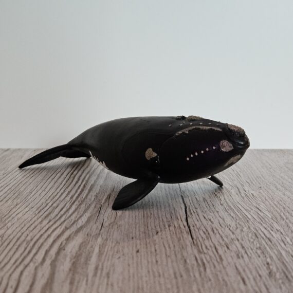 Schleich Figur namens Nordatlantischer Glattwal der Produktwelt Wild Life. Die Figur hat die offizielle Schleichnummer 14878. Es gehört zur Themenwelt Ice und Ocean. Die Figur trägt das Copyrightjahr 2023 und wurde dann von Schleich offiziell lizenziert. Die Schleichfigur wird eingestuft als Regulär.