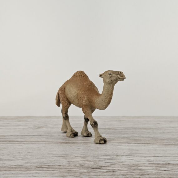 Schleich Figur namens Dromedar der Produktwelt Wild Life. Die Figur hat die offizielle Schleichnummer 14082. Es gehört zur Themenwelt Safari. Die Figur trägt das Copyrightjahr 1991 und wurde dann von Schleich offiziell lizenziert. Die Schleichfigur wird eingestuft als Selten.