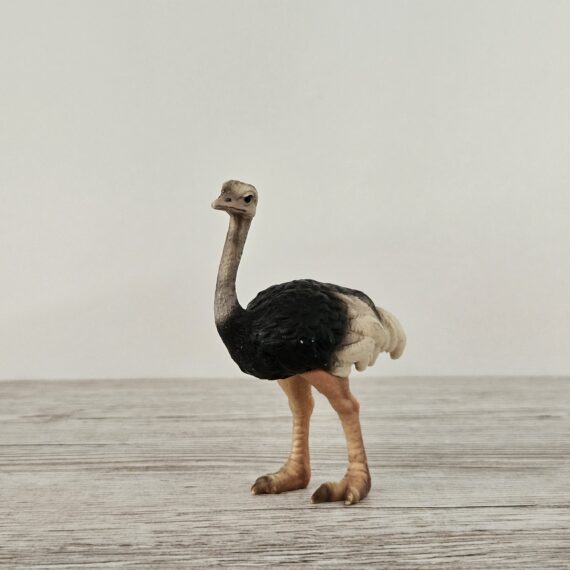 Schleich Figur namens Strauss der Produktwelt Wild Life. Die Figur hat die offizielle Schleichnummer 14325. Es gehört zur Themenwelt Safari. Die Figur trägt das Copyrightjahr 2003 und wurde dann von Schleich offiziell lizenziert. Die Schleichfigur wird eingestuft als Selten.