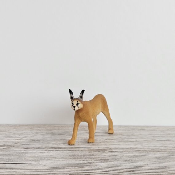 Schleich Figur namens Karakal Weibchen der Produktwelt Wild Life. Die Figur hat die offizielle Schleichnummer 14867. Es gehört zur Themenwelt Safari. Die Figur trägt das Copyrightjahr 2022 und wurde dann von Schleich offiziell lizenziert. Die Schleichfigur wird eingestuft als Regulär.