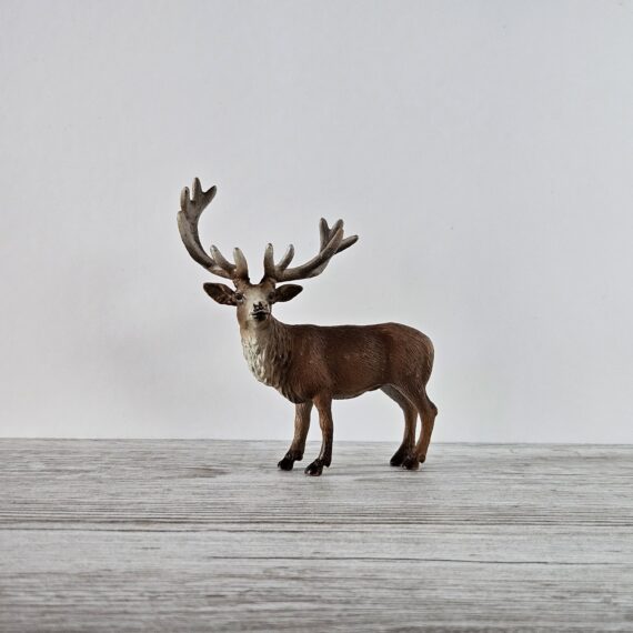 Schleich Figur namens Rothirsch der Produktwelt Wild Life. Die Figur hat die offizielle Schleichnummer 14248. Es gehört zur Themenwelt Wald und Wildtiere. Die Figur trägt das Copyrightjahr 2002 und wurde dann von Schleich offiziell lizenziert. Die Schleichfigur wird eingestuft als Selten.
