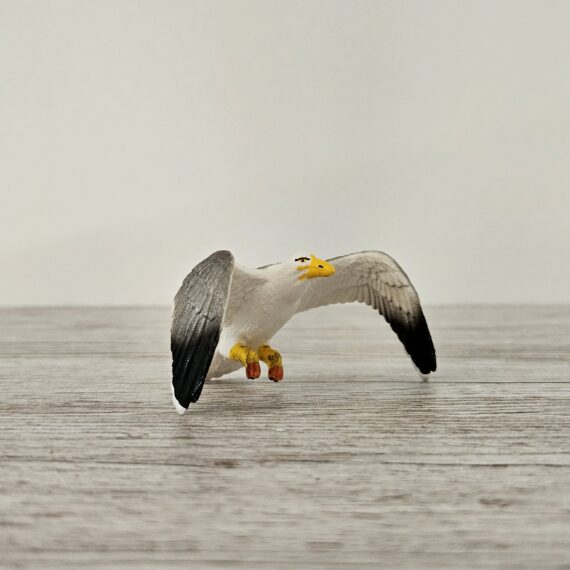 Schleich Figur namens Möwe der Produktwelt Wild Life. Die Figur hat die offizielle Schleichnummer 14720. Es gehört zur Themenwelt Wald und Wildtiere. Die Figur trägt das Copyrightjahr 2013 und wurde dann von Schleich offiziell lizenziert. Die Schleichfigur wird eingestuft als Selten.