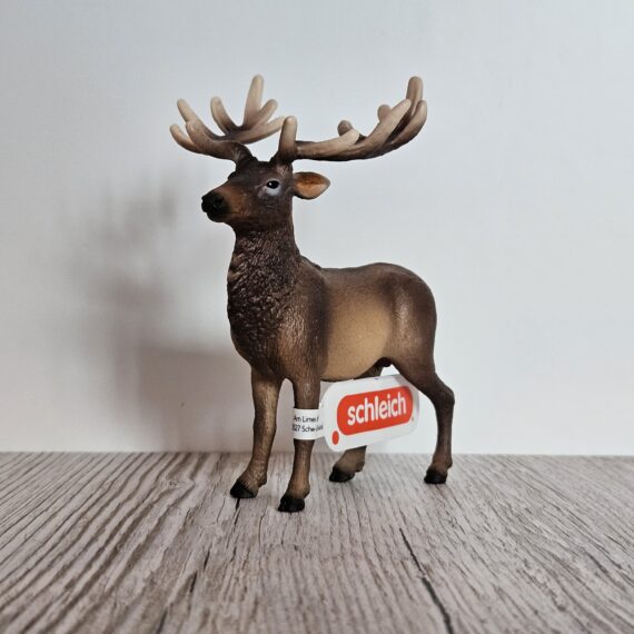 Schleich Figur namens Amerikanischer Rothirsch der Produktwelt Wild Life. Die Figur hat die offizielle Schleichnummer 14992. Es gehört zur Themenwelt Wald und Wildtiere. Die Figur trägt das Copyrightjahr 2026 und wurde dann von Schleich offiziell lizenziert. Die Schleichfigur wird eingestuft als Regulär.