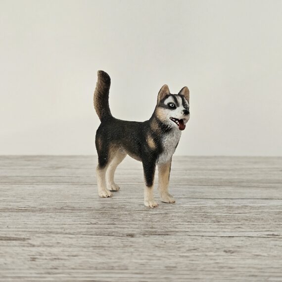 Schleich Figur namens Husky Rüde der Produktwelt Wild Life. Die Figur hat die offizielle Schleichnummer 16371. Es gehört zur Themenwelt Wald und Wildtiere. Die Figur trägt das Copyrightjahr 2007 und wurde dann von Schleich offiziell lizenziert. Die Schleichfigur wird eingestuft als Selten.